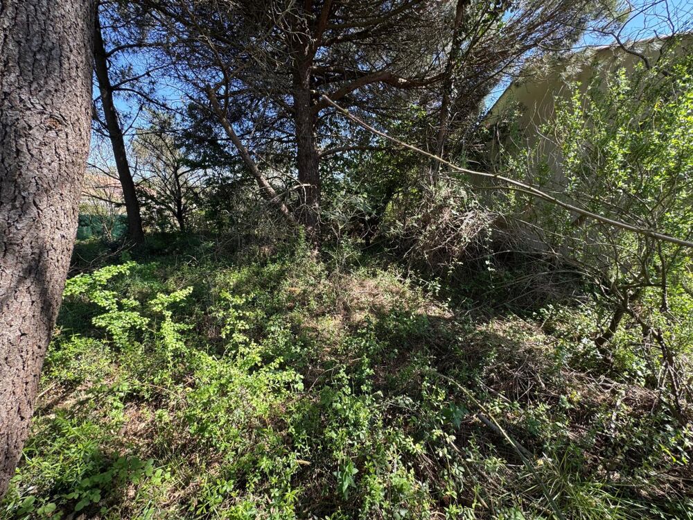 Vente Terrain Terrain constructible de 662 m² –  Les Sables d'Olonne Chateau-d'olonne