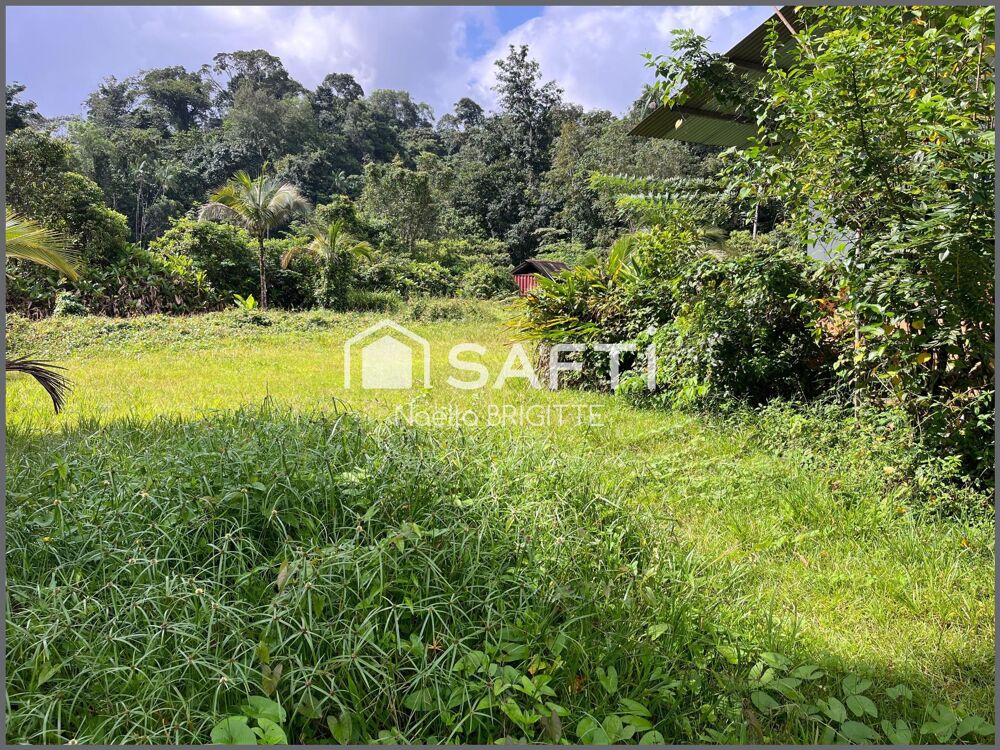 Vente Terrain Terrain arboré avec rivière sur Roura Roura