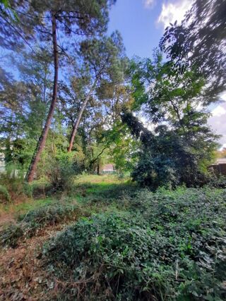  Terrain � vendre 895 m�