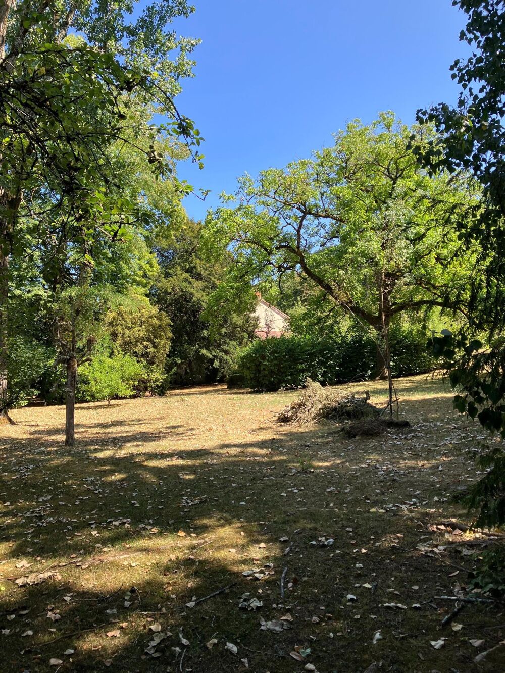 à vendre  Propriété/château Marsac-sur-l'Isle (24430)
