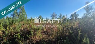  Terrain � vendre 59300 m�