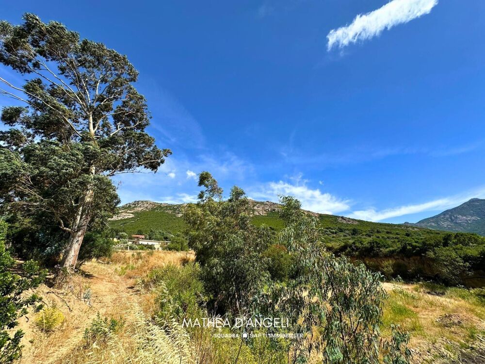 Vente Terrain Rare en Balagne 2 620 m2 constructibles Moncale