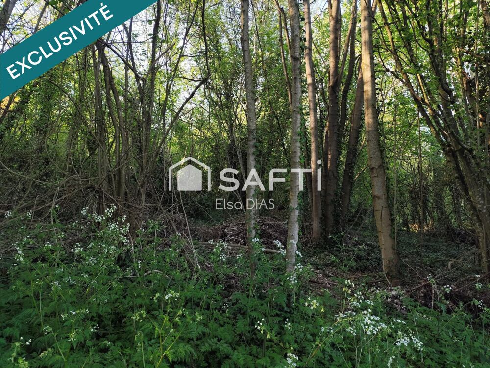 Vente Terrain Terrain verger avec bois exploitable Chateau-thierry