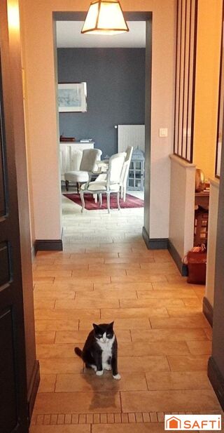  Maison � vendre 9 pi�ces 254 m�