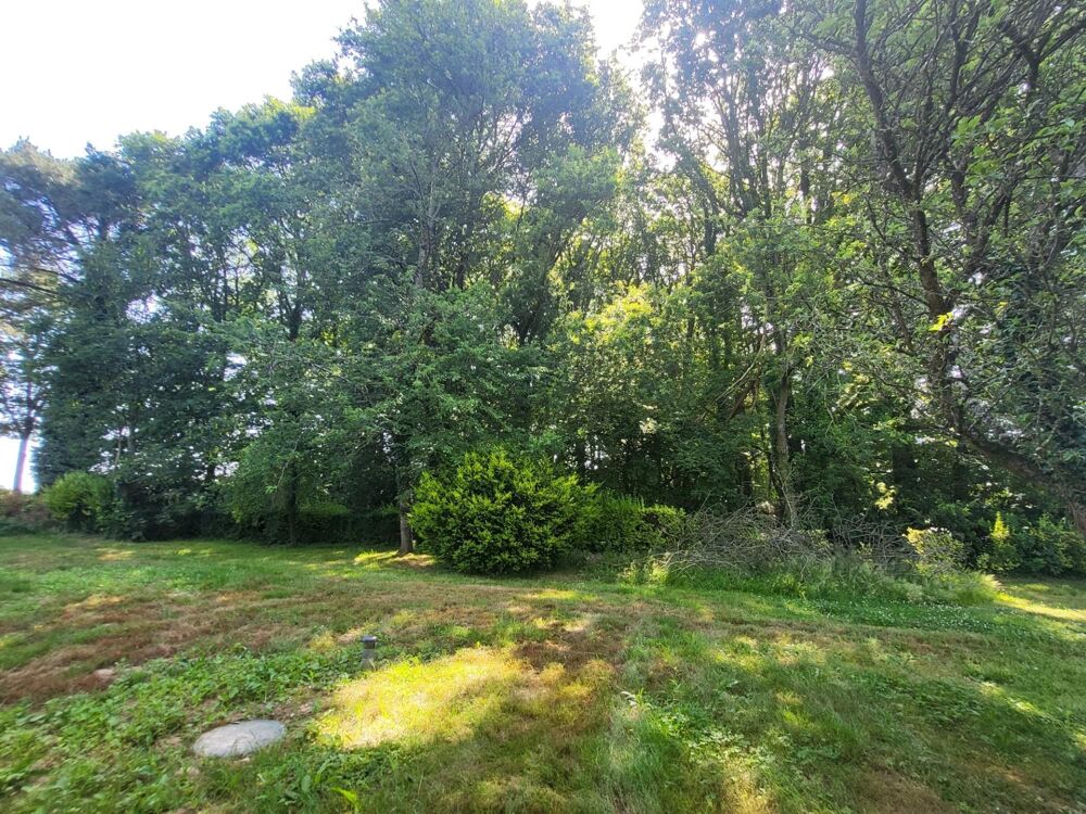 Maison de 81 m² avec grand terrain et sous-sol total