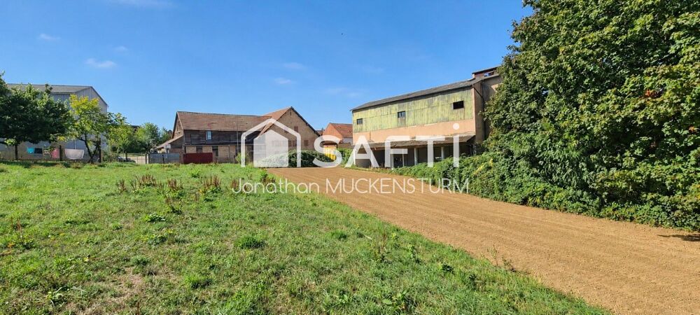 Vente Immeuble ENSEMBLE FONCIER DE 3 392 M² AVEC BÂTIMENT EXISTANT Donnenheim
