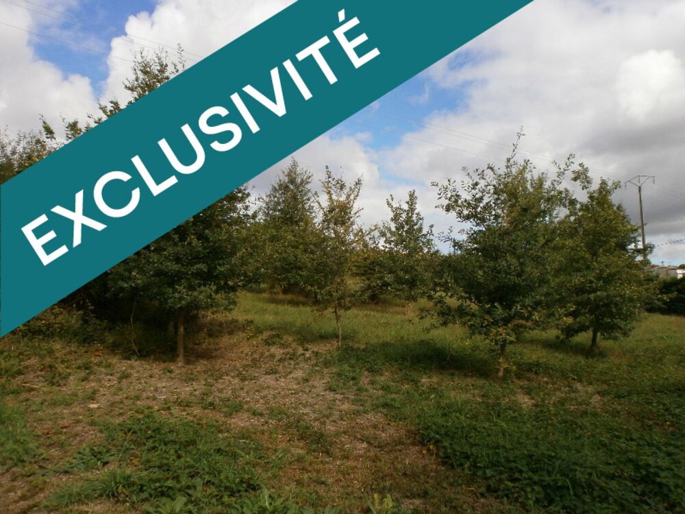 Vente Terrain Idéal maison bois. Grand terrain de 1566 m² Astaffort. Astaffort