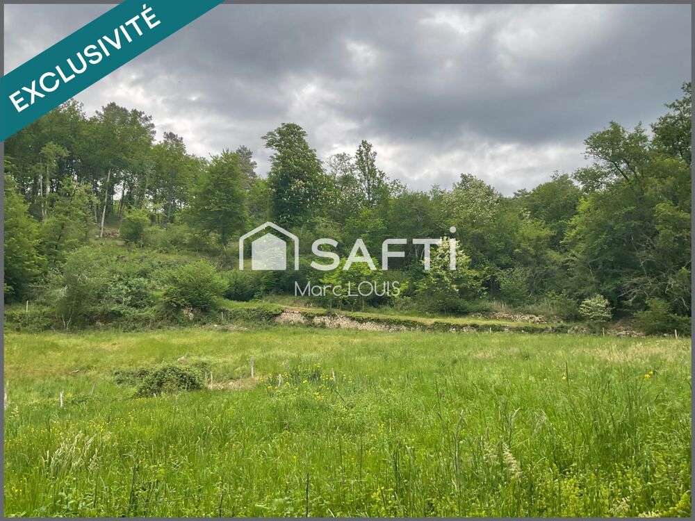 Vente Terrain Différentes essence de bois Saint-chamassy