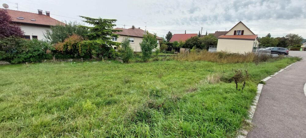 Vente Terrain Beau terrain plat constructible de 4.93  ares Westhoffen