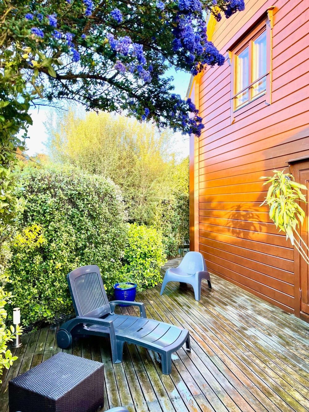 à vendre  Maison Penvénan (22710)