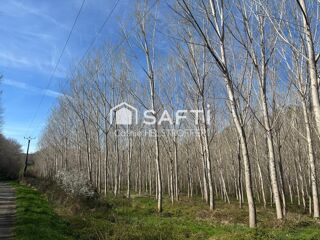  Terrain à vendre 31186 m²