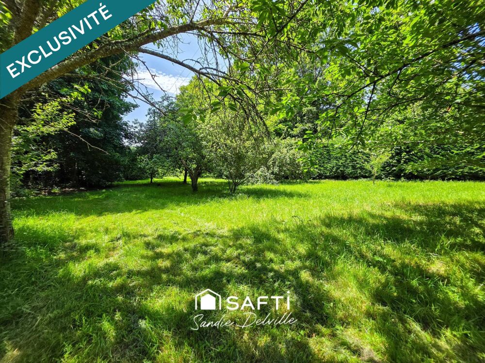 Vente Maison Pavillon 193m²- 6p- 4ch- piscine- 4589m²- sous-sol total Mauperthuis