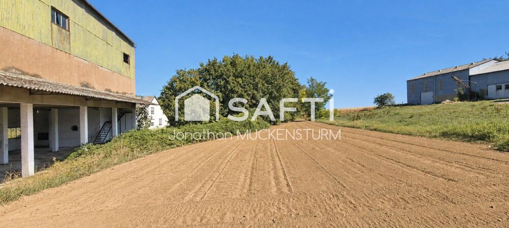 Vente Immeuble ENSEMBLE FONCIER DE 3 392 M² AVEC BÂTIMENT EXISTANT Donnenheim