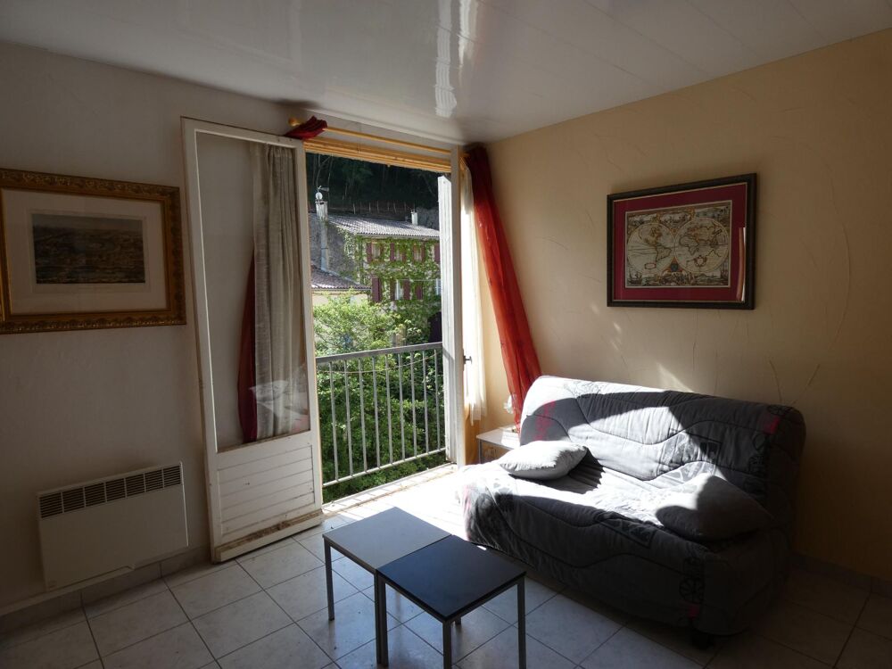 Vente Appartement Studio avec vue dégagée sur la rivière et la montagne à 20m des thermes Rennes-les-bains