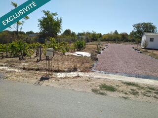 Vente Terrain Terrain constructible viabilisé (eau et électricité déjà présents sur plusieurs secteurs du terrain) Thenay