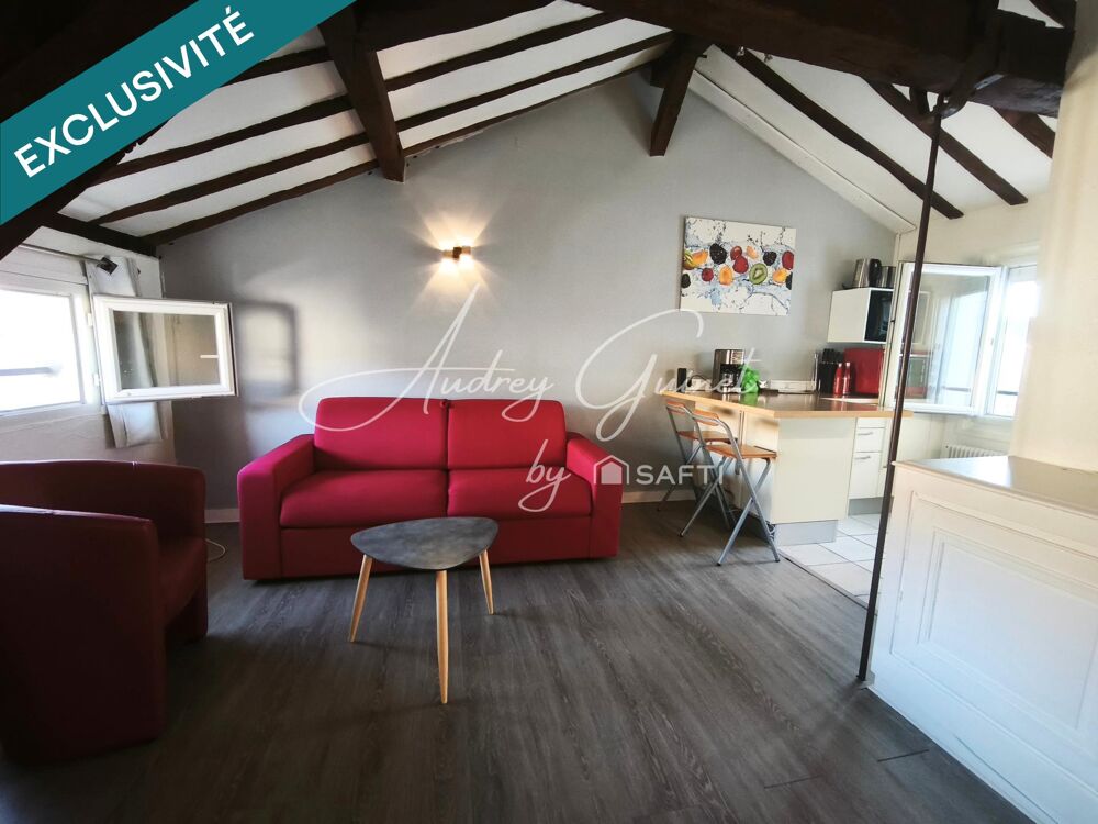 Grand Studio 38m² sur le plateau du centre-ville
