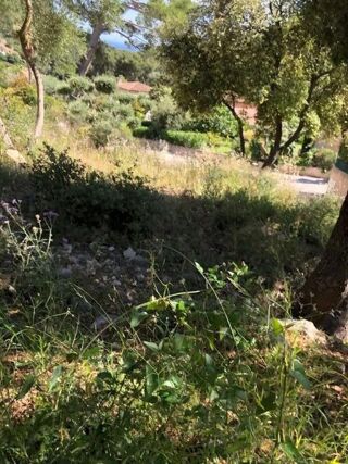  Terrain � vendre 946 m�