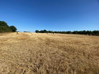  Terrain à vendre 90903 m²