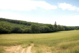  Terrain � vendre 1188 m�