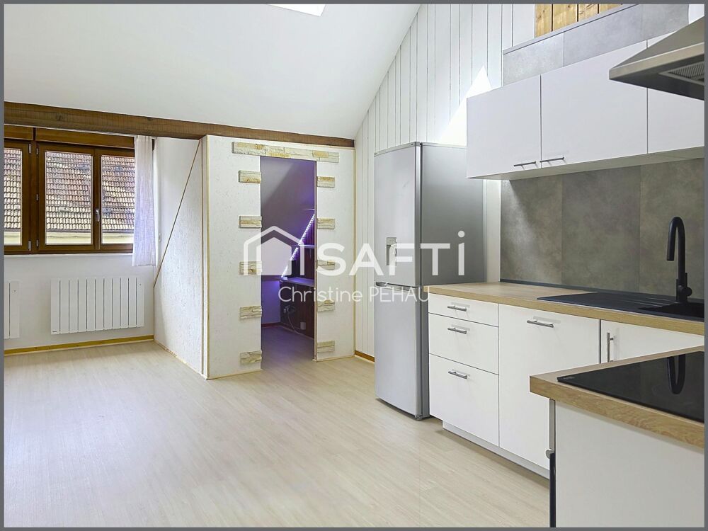 Loft rénové récemment alliant volume et élégance
