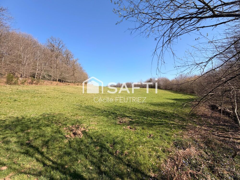 Vente Maison Chalet en pleine nature Espagnac