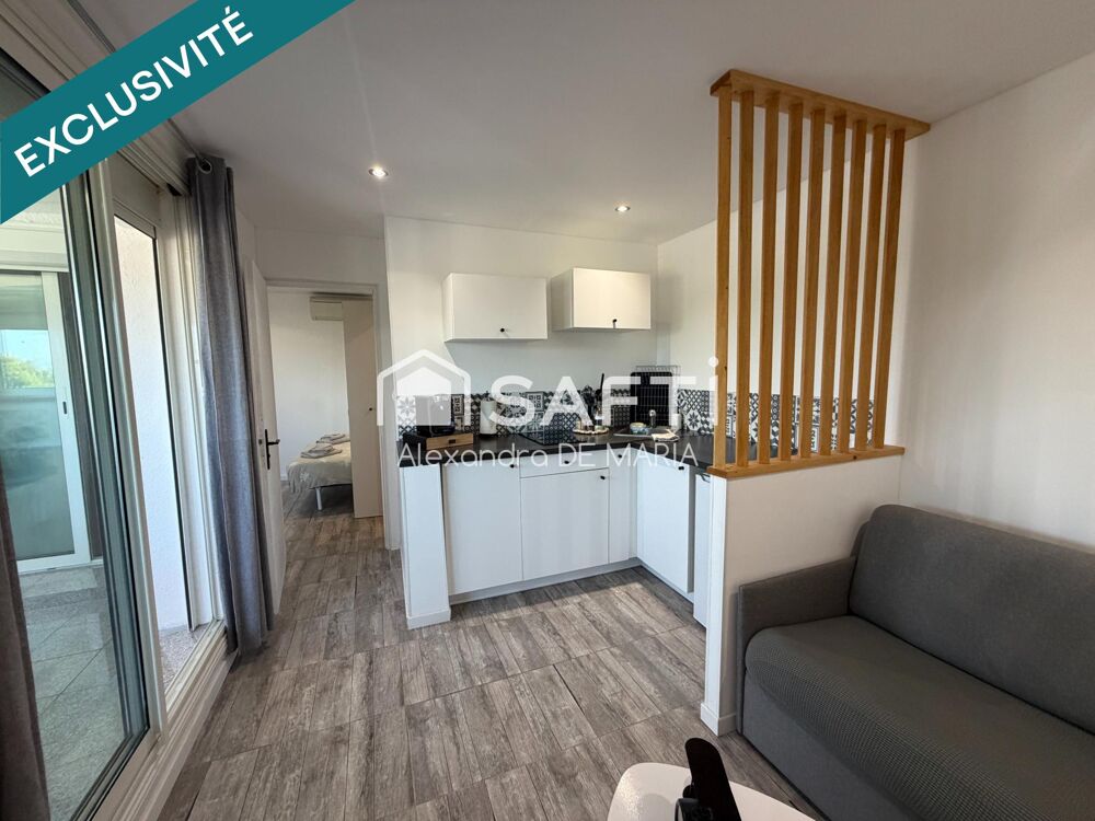 T2 rénové avec loggia entièrement rénové vue étang