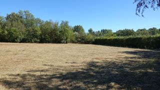  Terrain à vendre 3025 m²
