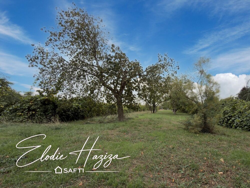 Vente Maison Demeure de charme en pierre avec vignes à Cherves. Cherves