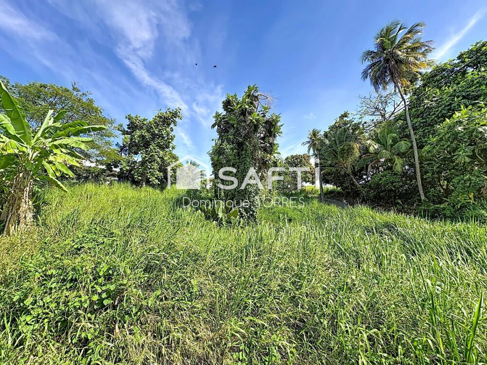 Vente Terrain TRINITE : Beau Terrain de 1075 m²  Vue dégagée La trinite
