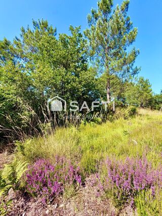  Terrain à vendre 30000 m²