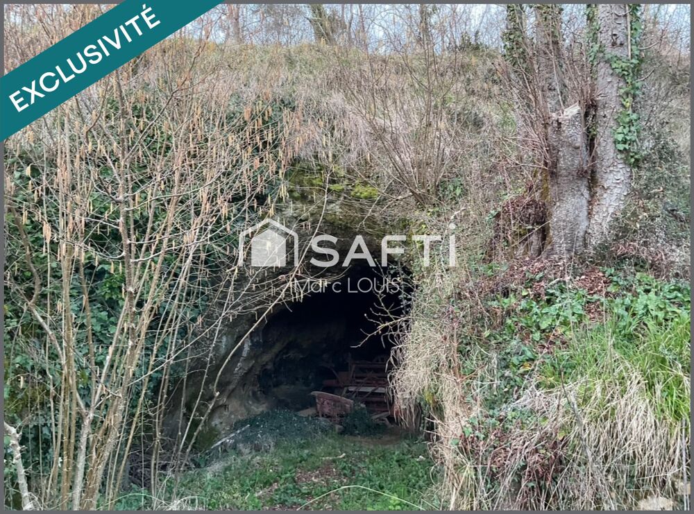 Vente Terrain Différentes essence de bois Saint-chamassy