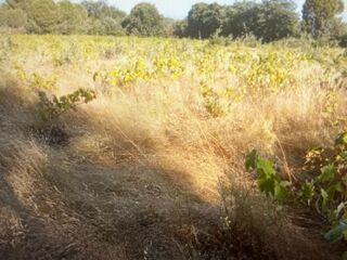  Terrain � vendre 5000 m�