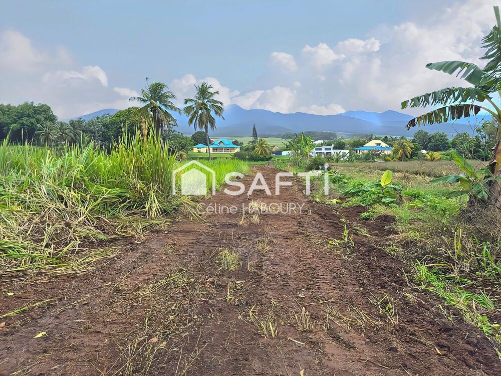 Vente Terrain terrain 1353 m2 constructible Lamentin