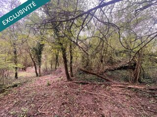  Terrain à vendre 5500 m²