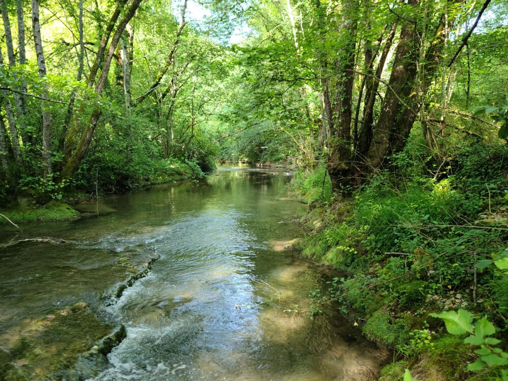 Vente Terrain Lot de 7 parcelles en zone naturelle Labastide-du-vert