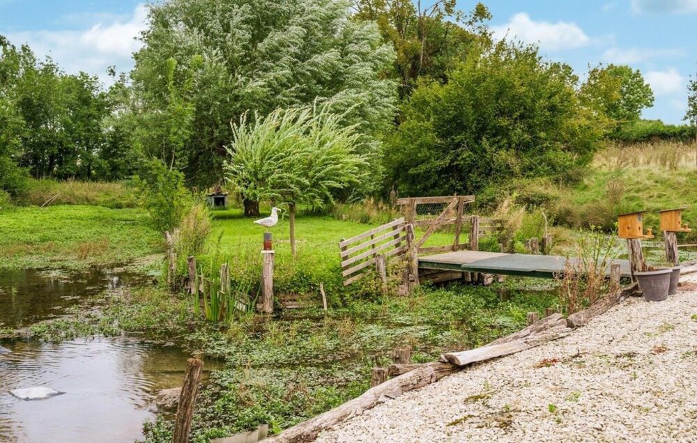 Vente Maison Ancien moulin avec étang et son cours d'eau Montigny-les-monts
