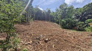  Terrain  vendre 1301 m