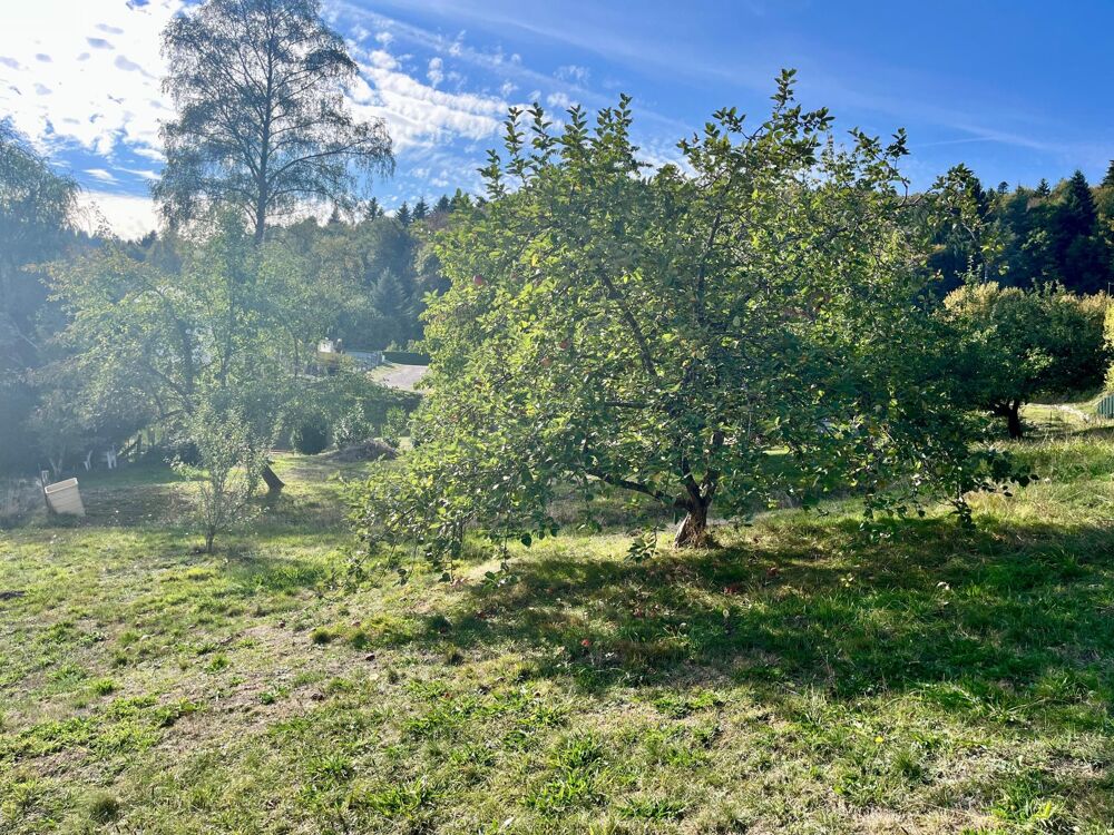Vente Terrain Un écrin de verdure avec vue dégagée Saint-nabord