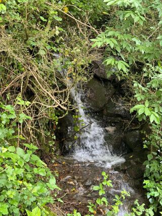  Maison � vendre 5 pi�ces 90 m�