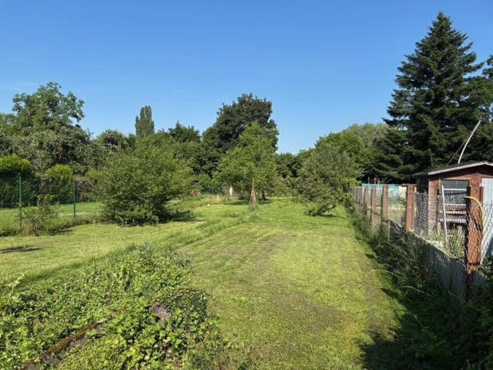 maison individuelle avec beau terrain et petite dépendance