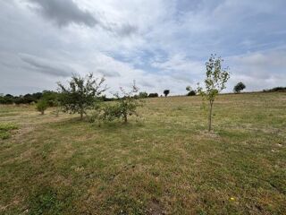  Maison à vendre 5 pièces 195 m²