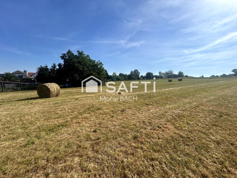 Vente Terrain Terrain de construction Diemeringen