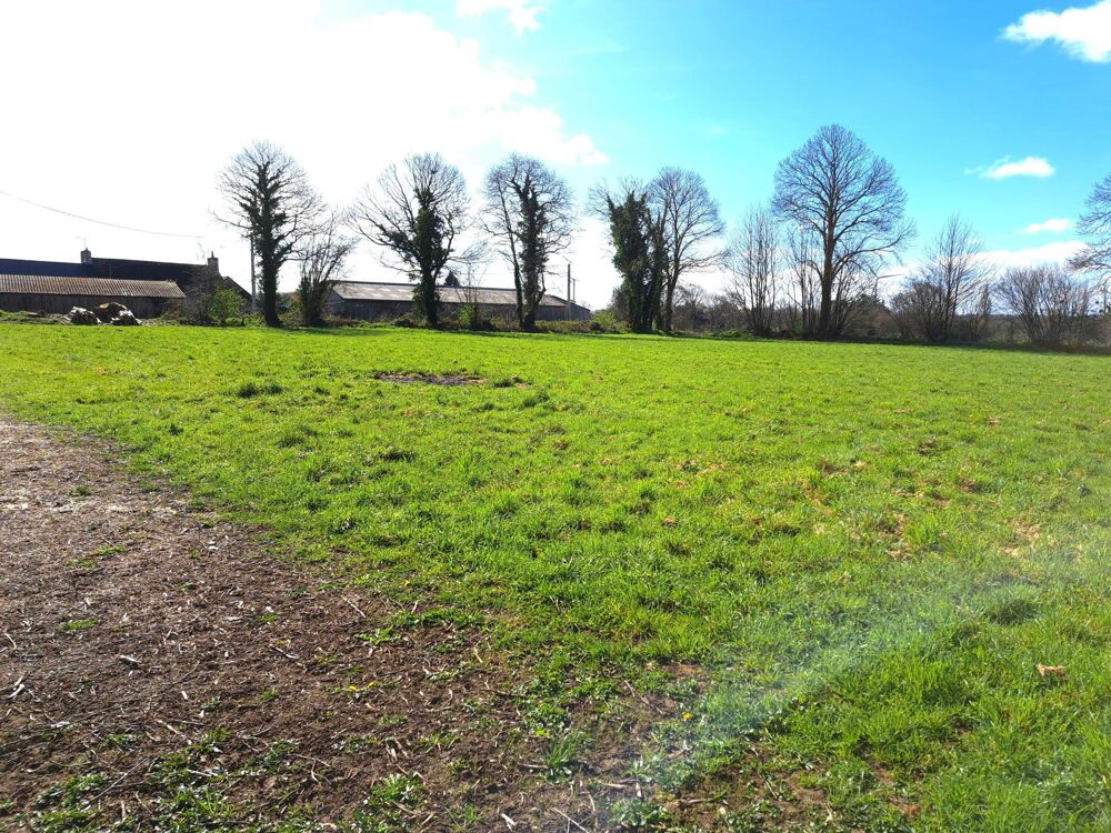 Vente Terrain Terrain constructible en campagne de Parcé Parce