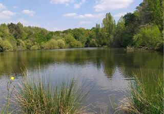  Immeuble � vendre 565 m�