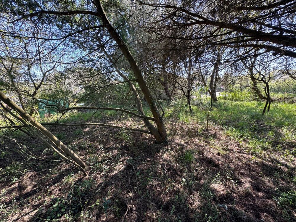 Vente Terrain Terrain constructible de 662 m² –  Les Sables d'Olonne Chateau-d'olonne