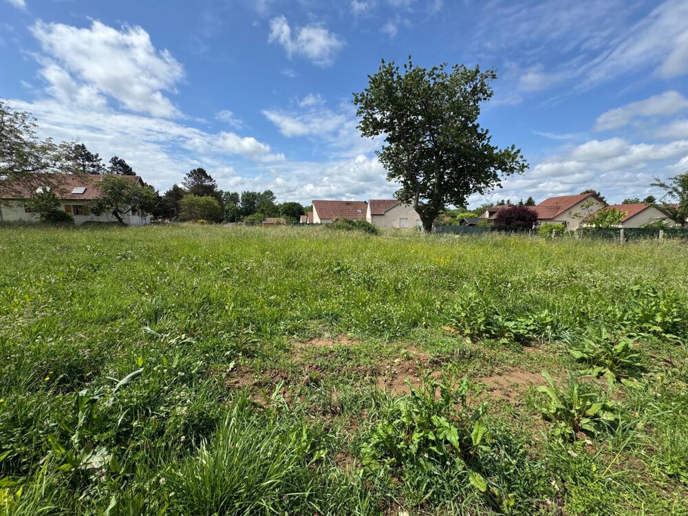 Vente Terrain Terrain 11 ares plat viabilisé libre de constructeur Voray-sur-l'ognon