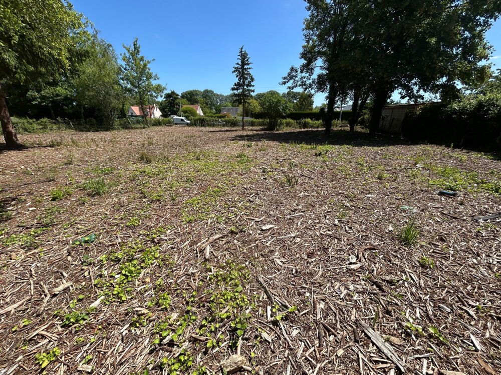 Vente Terrain Terrain de 3 041m² constructible Beaugency