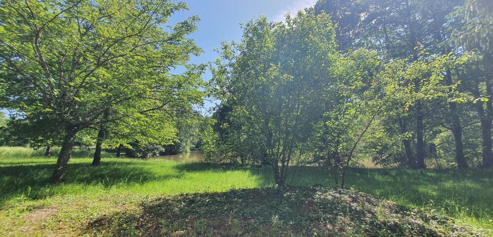 Vente Terrain ÉTANG avec deux TERRAINS DE LOISIRS ou pré,  presque 2 HECTARES ,cours d'eau ,  taillis , et prairies Retiers
