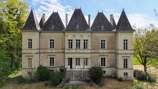  Propriété/château à vendre 12 pièces 333 m²
