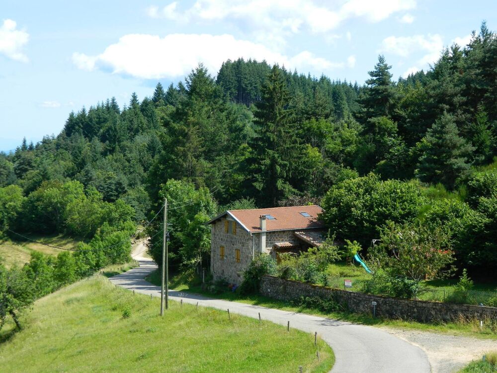 Authentique maison ardèchoise en pierre de 112m², terrain de 1180m² attenant et source